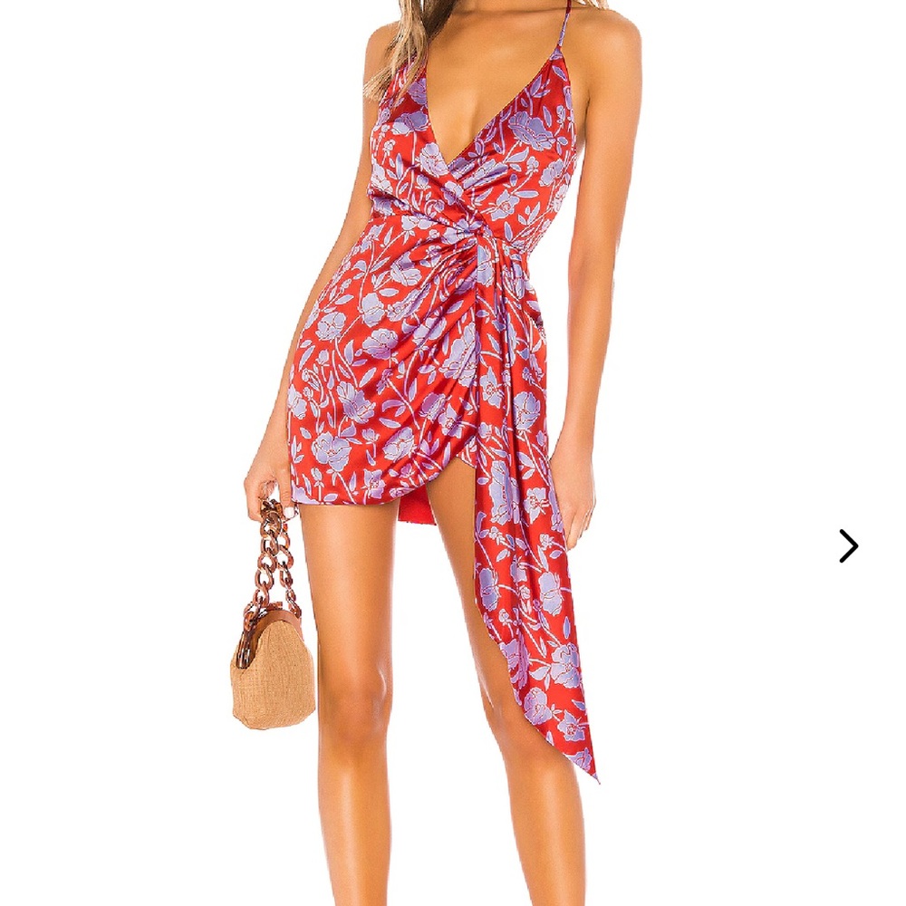 Lovers + Friends Red Floral Mini Dress